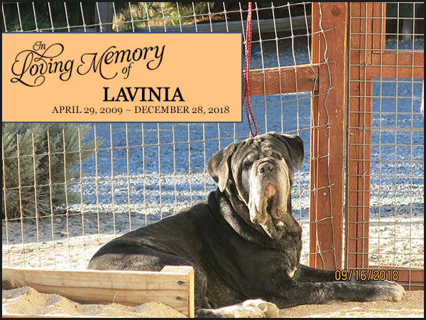 Lavinia - April 29, 2009 – December 28, 2018