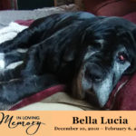 Sugarland’s Bella Lucia