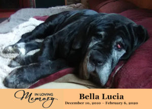 Sugarland’s Bella Lucia