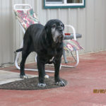 Sugarland’s Bella Lucia