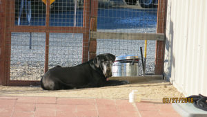 Sugarland’s Bella Lucia