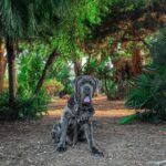 My name is Carlo and first thank you for all the donations