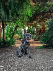 My name is Carlo and first thank you for all the donations