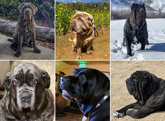 In Loving Memory  Sugarland Ranch